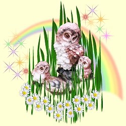 Manu Morepork